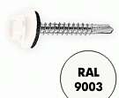 Саморез кровельный RAL-9003  5,5x19 (250шт)